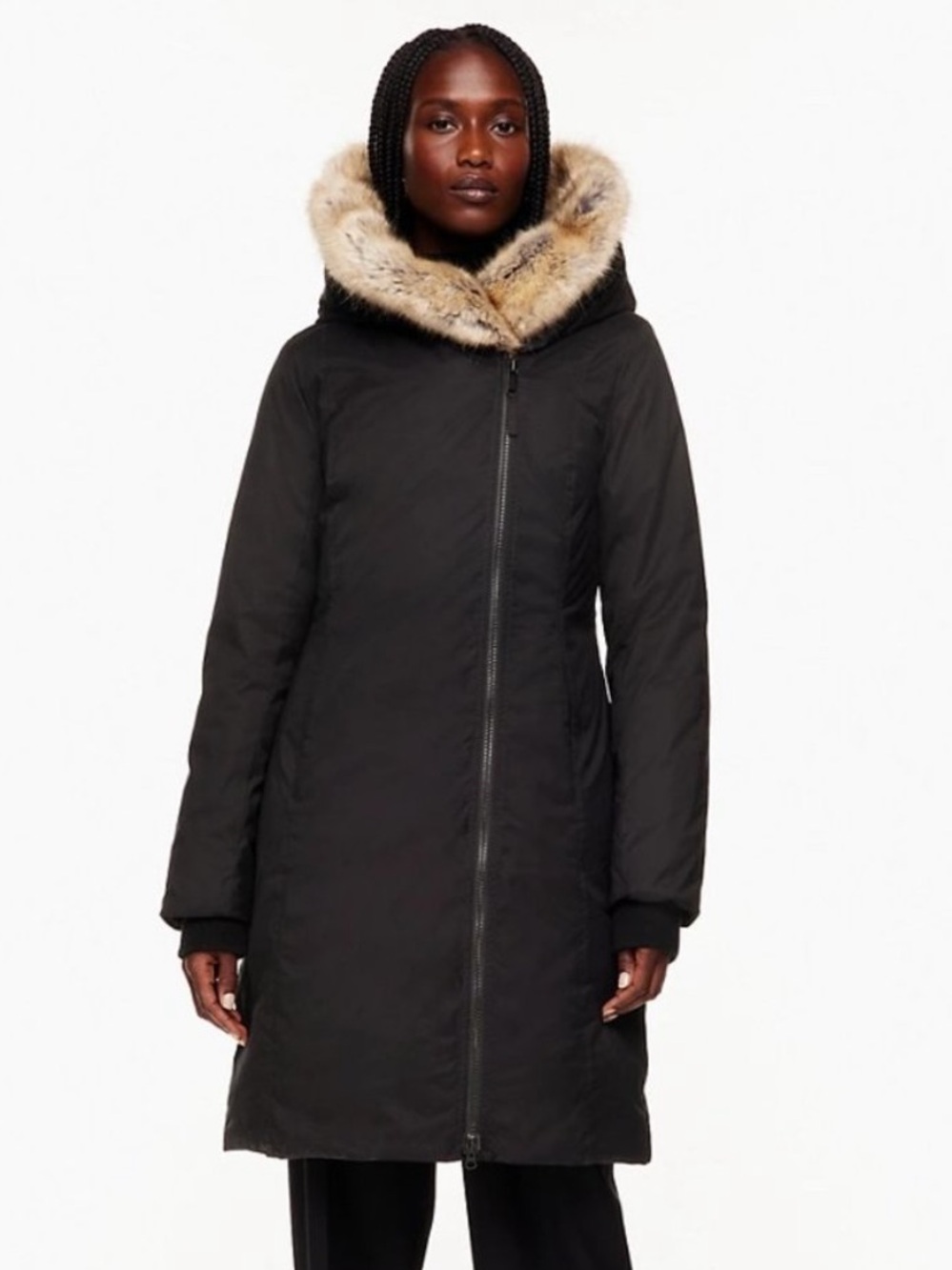 Aritzia Babaton St. Moritz Parka